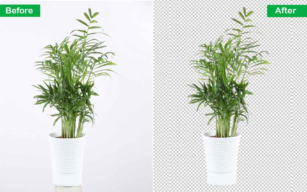 Professional background removal service to create clean, distraction-free images